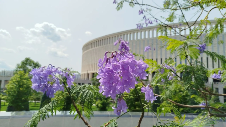 Краснодарский край: выбор пункта отбора города Нижневартовска